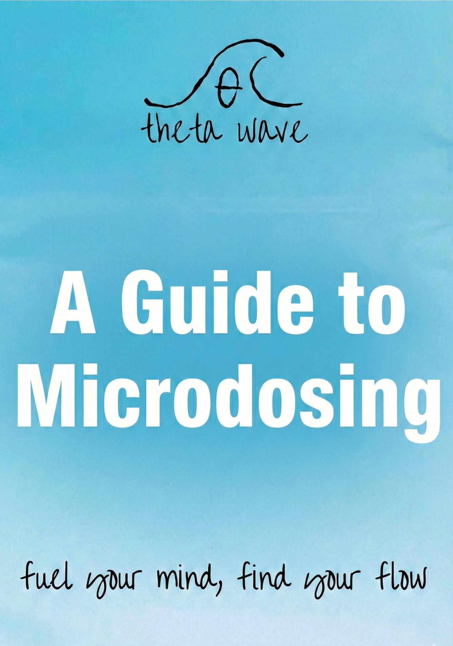 TW micro guide